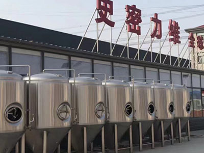 临夏市精酿啤酒设备厂—市场规模与跨界新需求